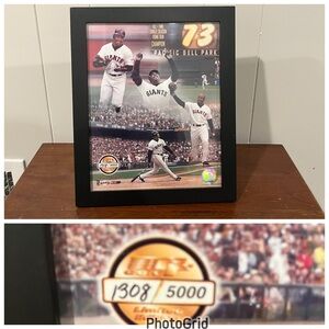 Framed Baseball Memorabilia with Black Frame
